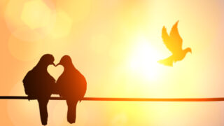 好きな人と仲良くなる方法