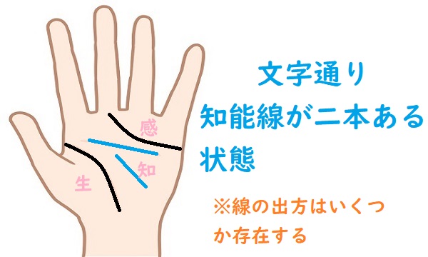 あれば天才 二重知能線の見方を徹底解説 適職 離婚 活かし方の情報あり かりんろーの手相占い