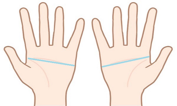 誤解 ますかけ線が両手にある人は宝くじに当たるのか かりんろーの手相占い 誤解 ますかけ線が両手にある人は宝くじに当たるのか かりんろーの手相占い